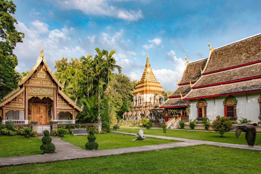 pexels-gije-16986826-1024x684 Why Chiang Mai Should Be Your Next Travel Destination